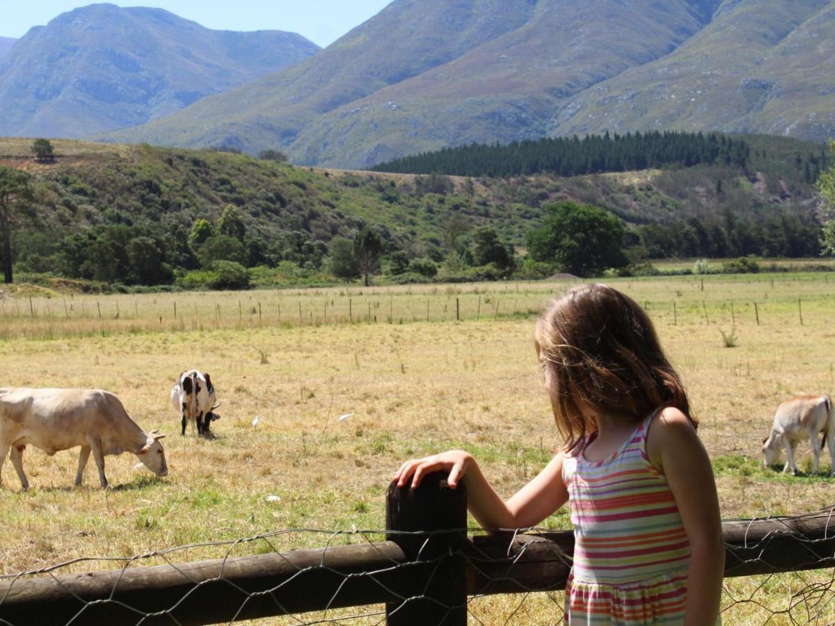 Arumvale Country Retreat Swellendam Exteriör bild