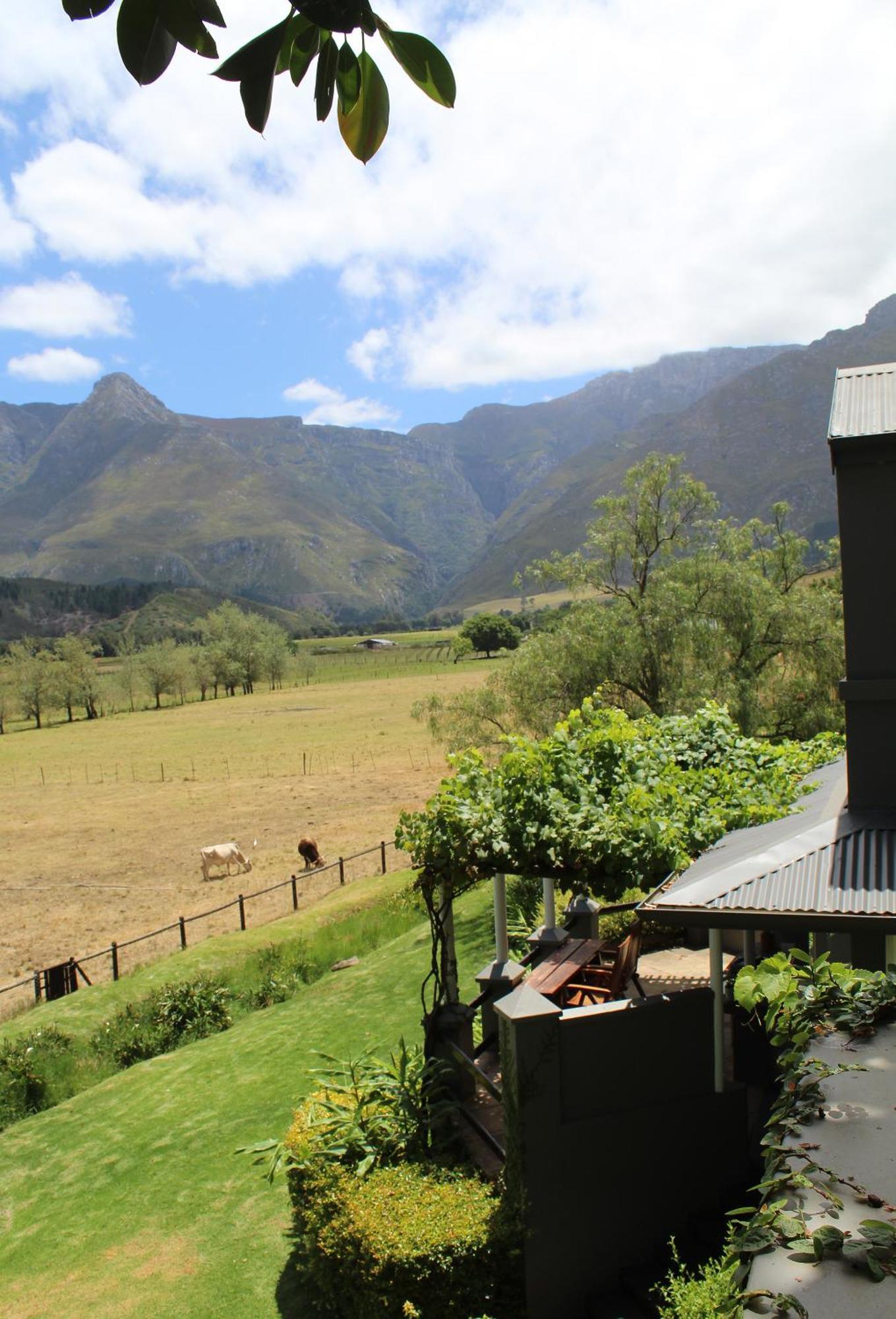 Arumvale Country Retreat Swellendam Exteriör bild