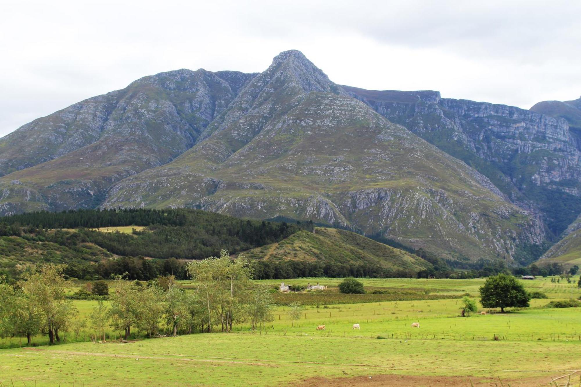 Arumvale Country Retreat Swellendam Exteriör bild