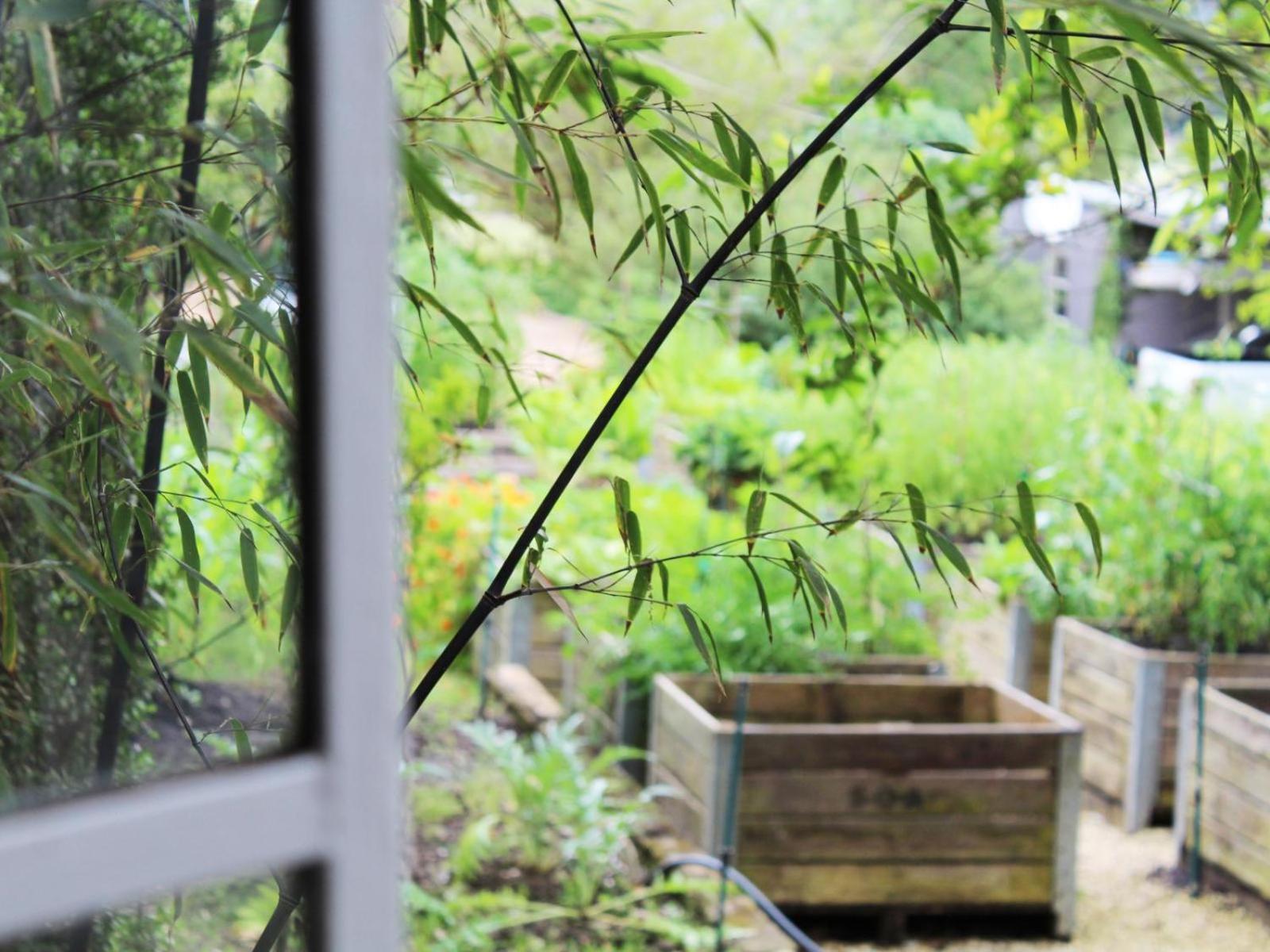 Arumvale Country Retreat Swellendam Rum bild