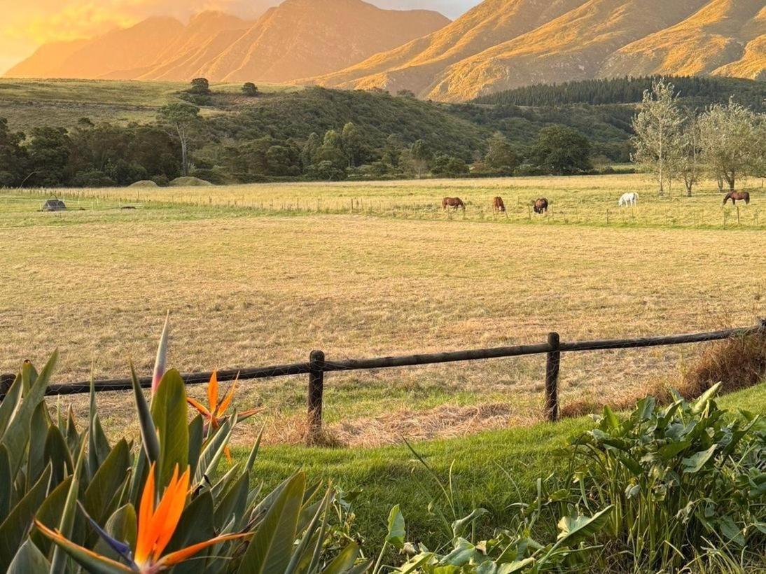 Arumvale Country Retreat Swellendam Exteriör bild